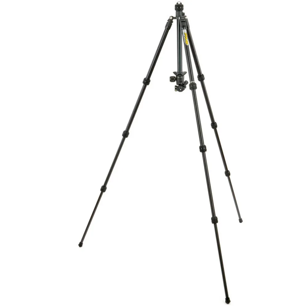 3 Legged Thing Punks Travis 2.0 Magnesium Alloy Tripod with AirHed Neo 2.0 Ball Head
