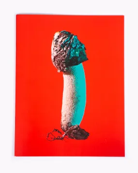 Mushroom and Friends 3 - Phyllis Ma