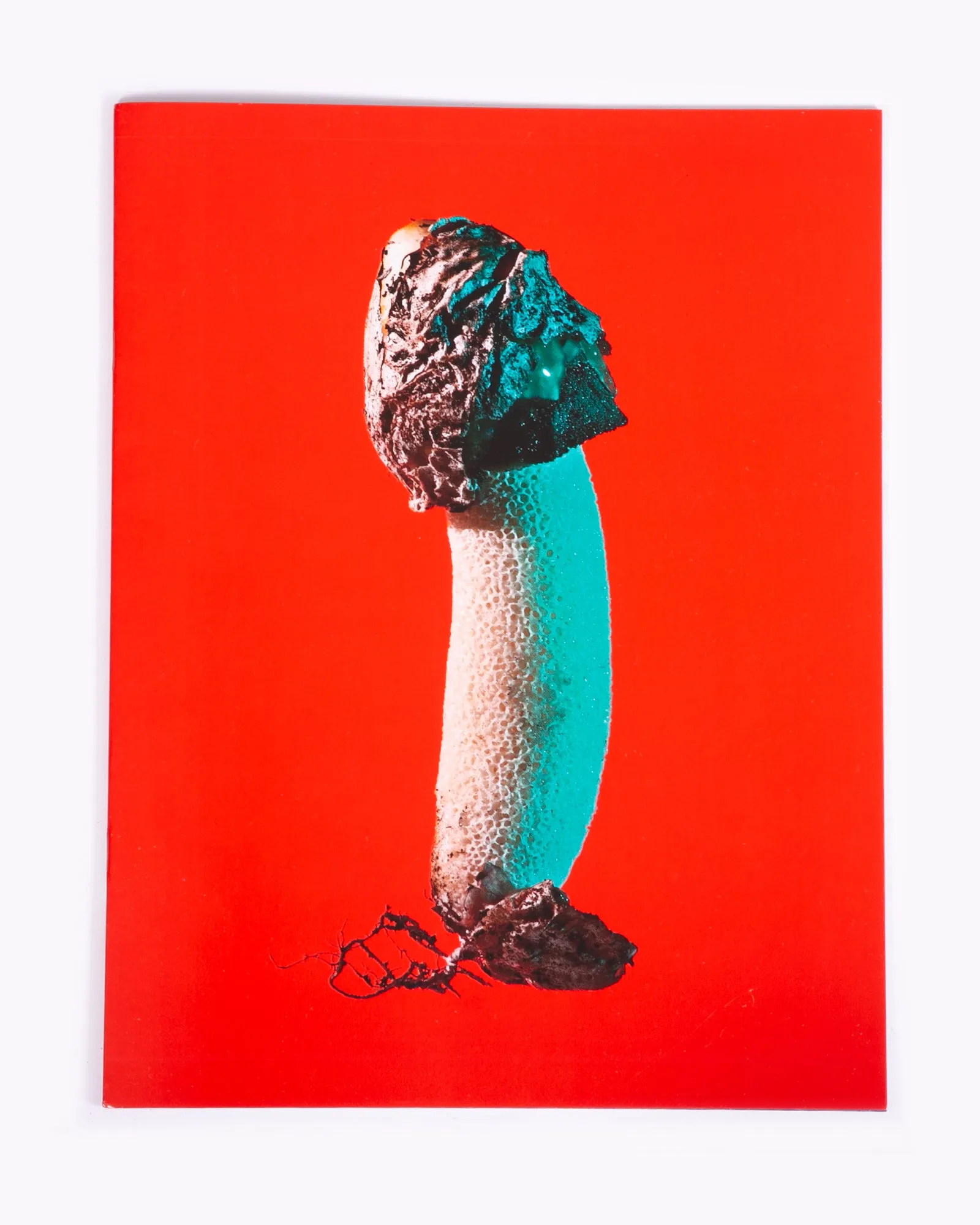 Mushroom and Friends 3 - Phyllis Ma